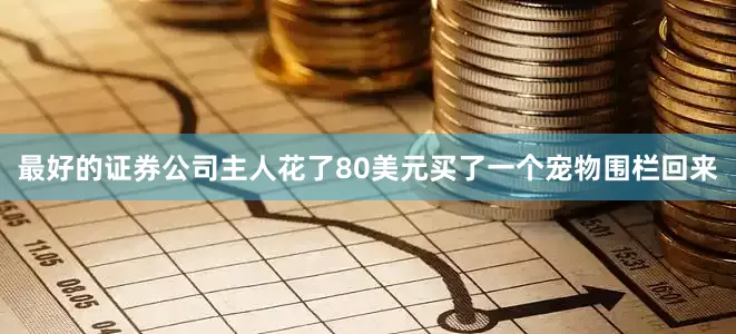 最好的证券公司主人花了80美元买了一个宠物围栏回来